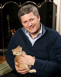 Stephen Harper The man with the dead eyes