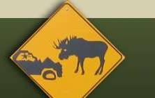 Moose warning - Photo by Ulli Diemer