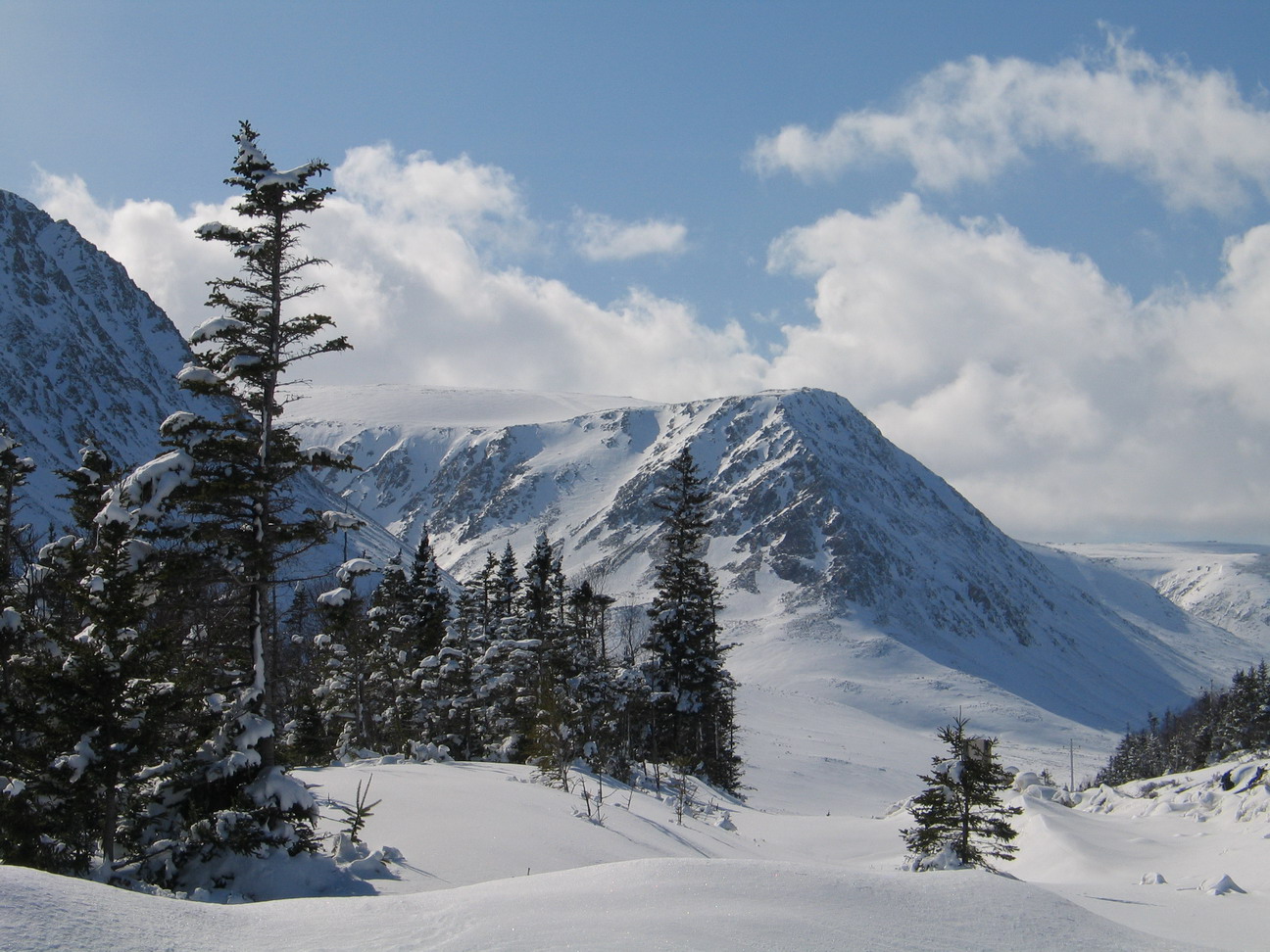 Gros Morne, Tablelands. Photo by Ulli Diemer.