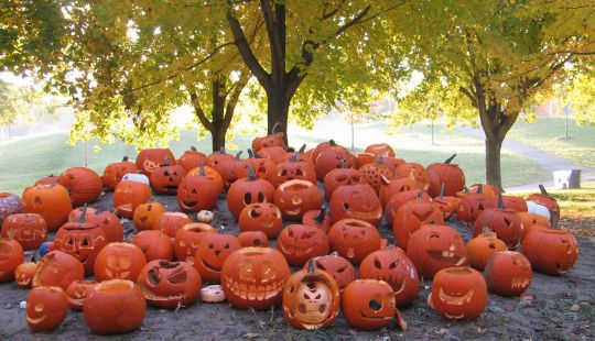 Pumpkins- Photo by Ulli Diemer