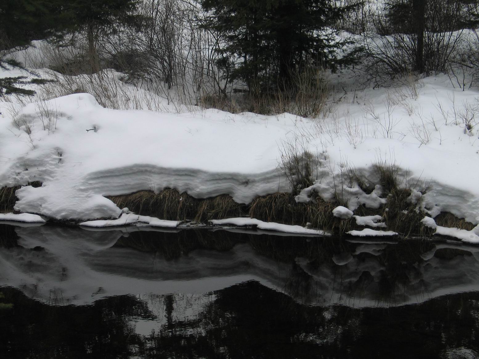 Algonquin, February 2012. Photo by Ulli Diemer.