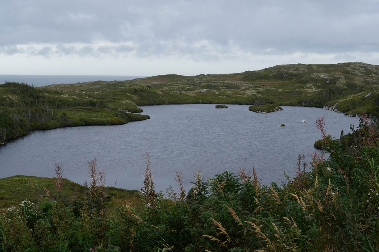 Near Isle aux Morts. Photo by Ulli Diemer.