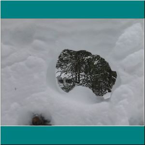 2012CG-0114-Snow-AlgonquinPark