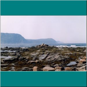 Newfoundland2005M-041-LowTide-AnseauxMeadows - Photo by Ulli Diemer