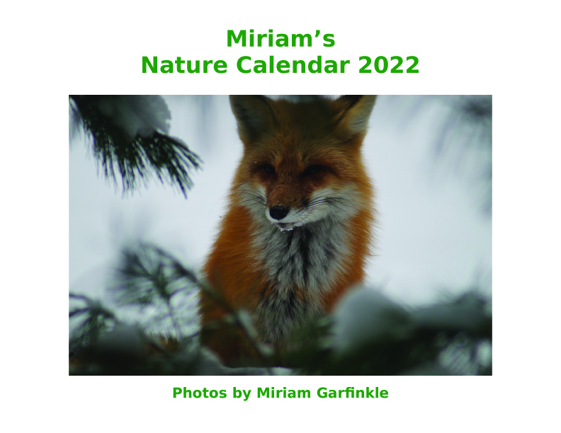Miriam’s Nature Calendar 2022